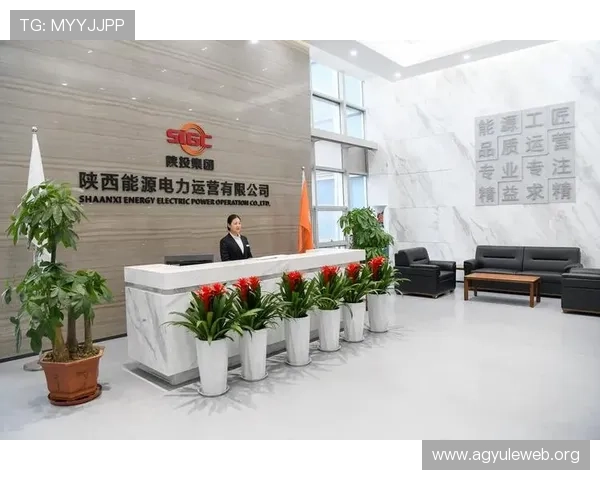 如何选择优质的AG电投厅平台实现稳定盈利和享受优质游戏体验的实用指南