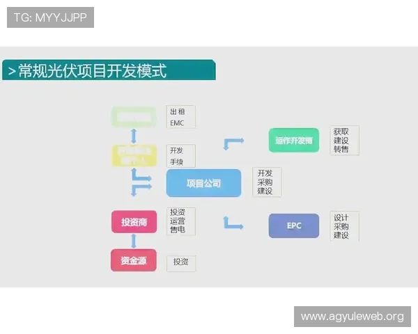多宝真人电脑版安全稳定下载与安装全流程详解